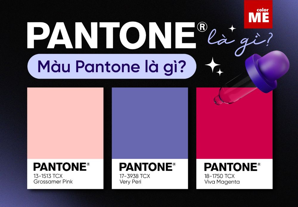 image - Pantone là gì? Màu Pantone là gì? Sự khác biệt giữa RGB, CMYK và Pantone