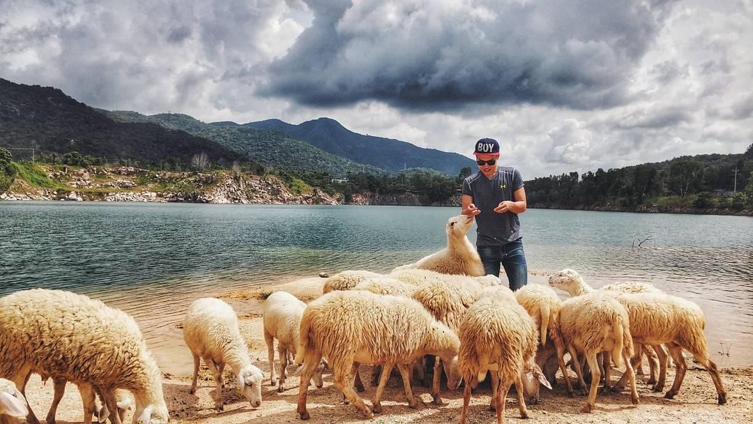 Nô đùa bên những chú cừu tại Hồ Đá Xanh