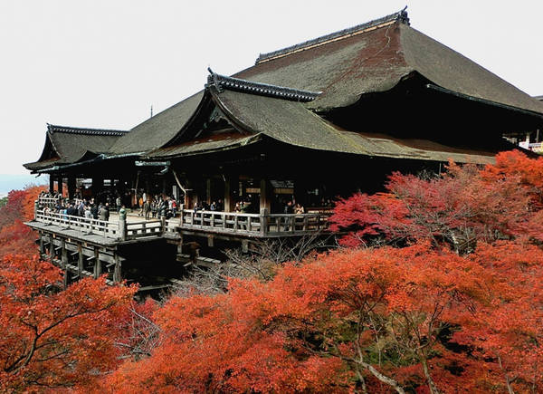 15 Địa Điểm Ngắm Lá Đỏ Tuyệt Đẹp Ở Cố Đô Kyoto