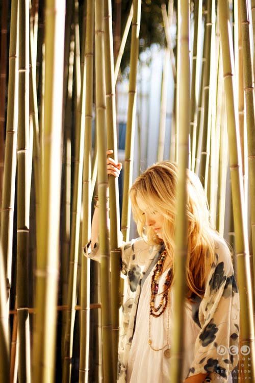 Vải Bamboo (Vải Sợi Tre) – Tìm Hiểu Về Vải Bamboo