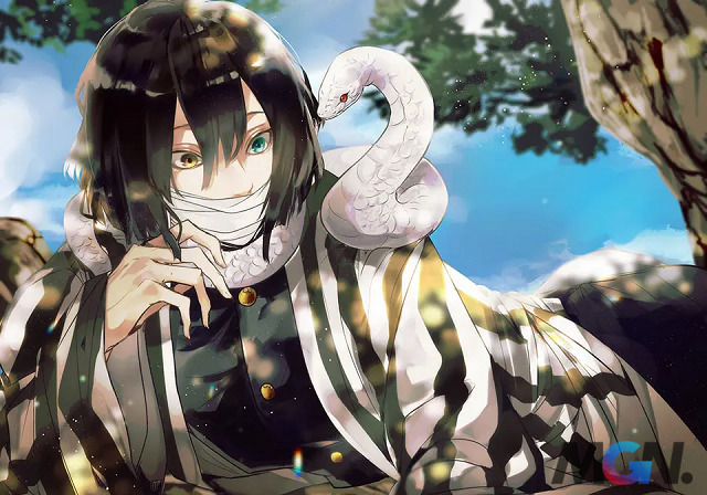 Kimetsu no Yaiba Vì sao lại có một con rắn quấn quanh cổ Obaina_3