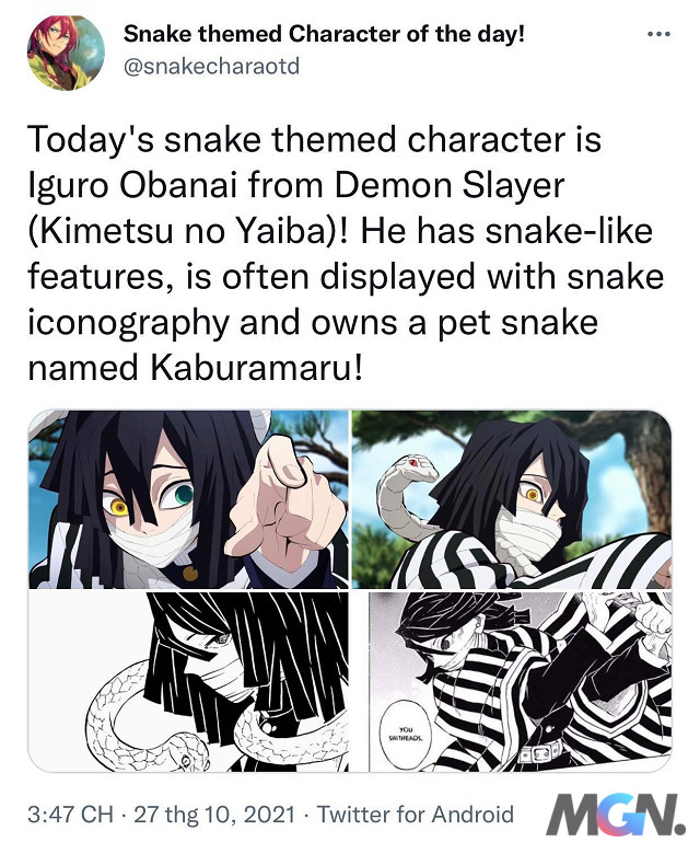 Kimetsu no Yaiba Vì sao lại có một con rắn quấn quanh cổ Obaina_6