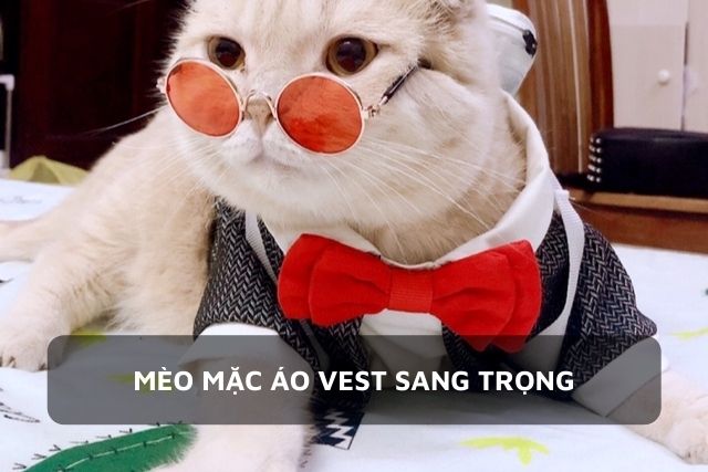 Quý Ông Mèo Cầm Đồng Hồ Và Đội Mũ Mặc Vest Khắc Hình minh họa Sẵn