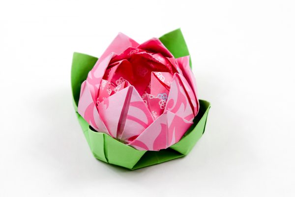 Cách Gấp Hoa Sen Giấy Hồng Theo Phong Cách Origami