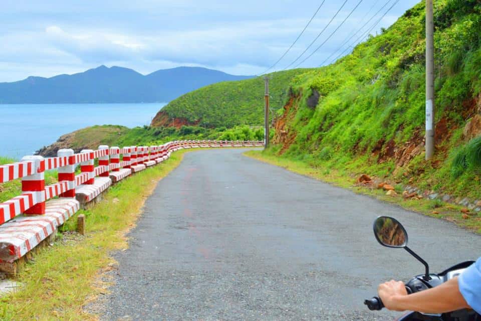 Con đường đậm chất thiên nhiên nơi Côn Đảo cho những ai thích khám phá