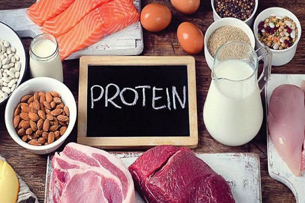 Các thực phẩm giàu protein cần được bổ sung vào thực đơn giảm cân