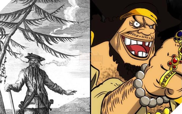 One Piece: 20 Nhân Vật Được Lấy Cảm Hứng Từ Người Thật (Phần 2)
