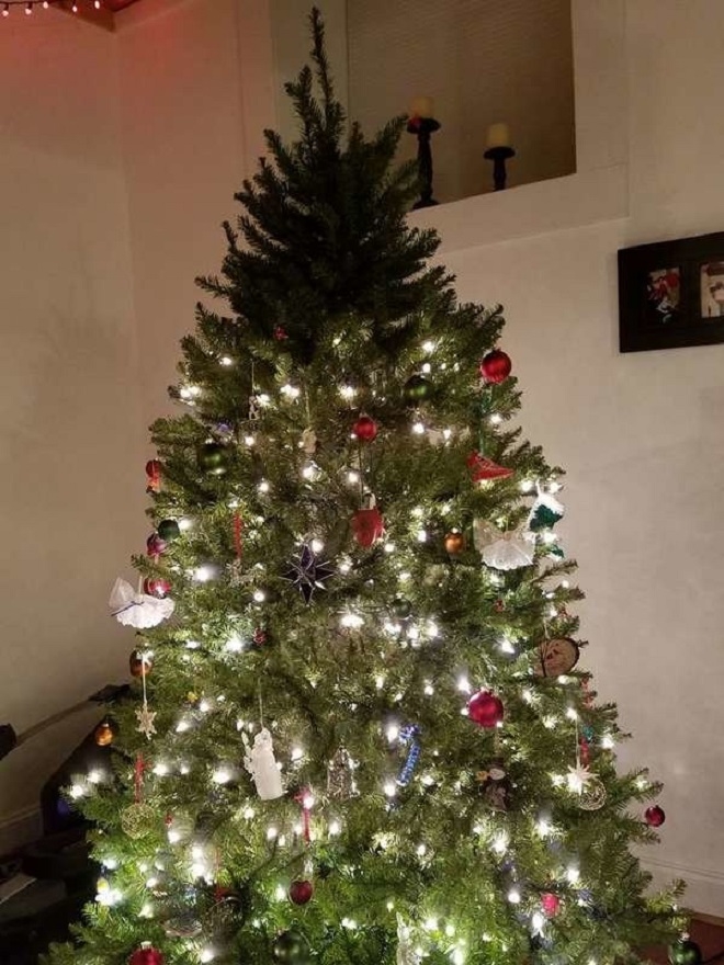 Những cây thông Noel xấu xí khiến dân mạng cười đau bụng - 10
