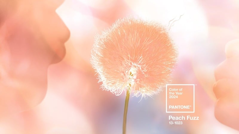 Pantone Công Bố Màu Chủ Đạo Của Năm 2024: Peach Fuzz