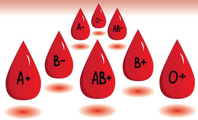 Có bao nhiêu nhóm máu cách phân loại nhóm máu 