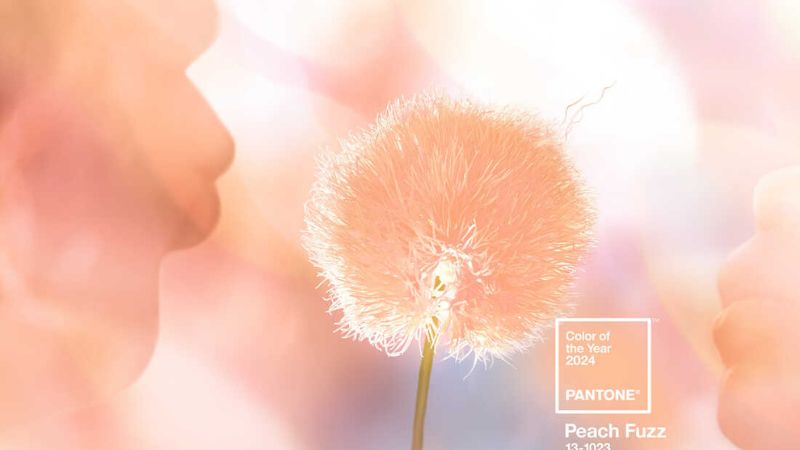 Màu của năm 2024 - Peach Fuzz