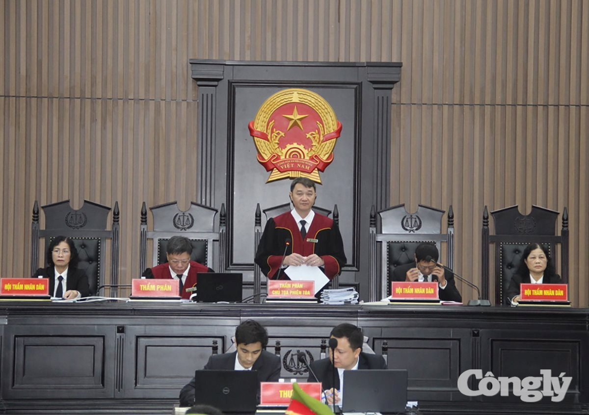  Trong phiên tòa, các thẩm phán ở Việt Nam thường không đội tóc giả trắng