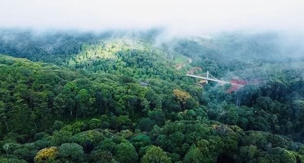 Măng Đen được bao phủ bởi bạt ngàn những cánh rừng nguyên sinh. Ảnh minh họa: TTXVN