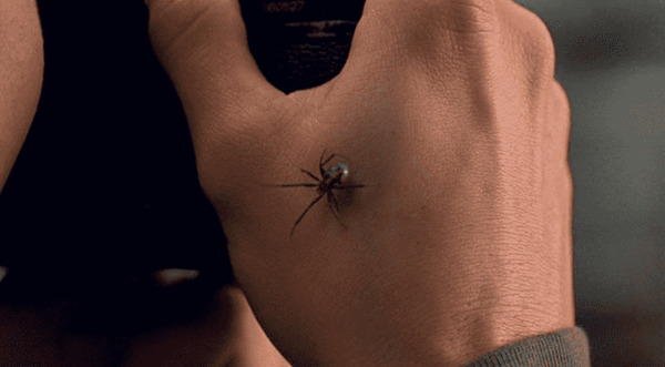 Peter vô tình bị một con nhện biến đổi gen cắn vào tay