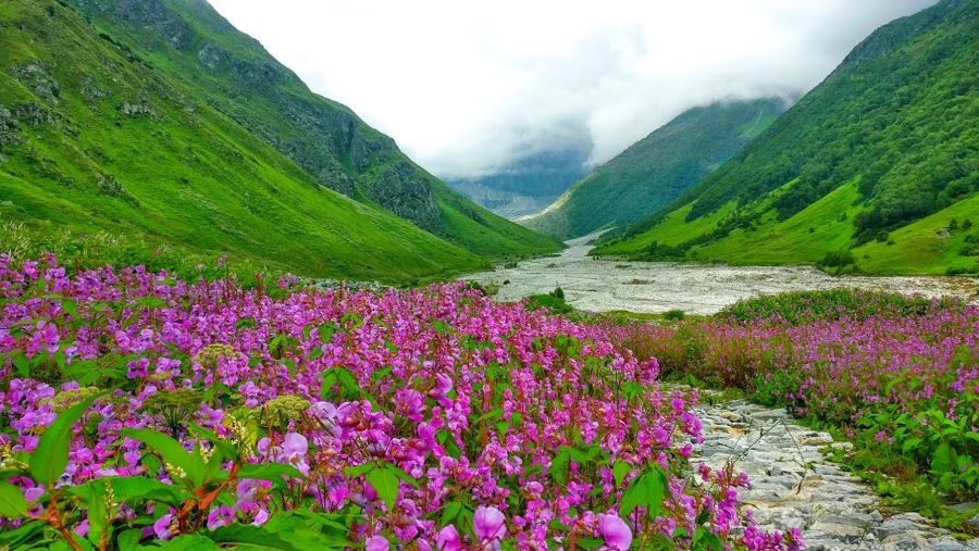 Thung lũng hoa Uttaranchal