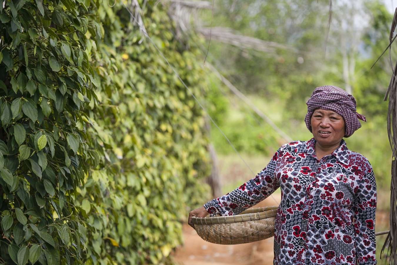 Kampot