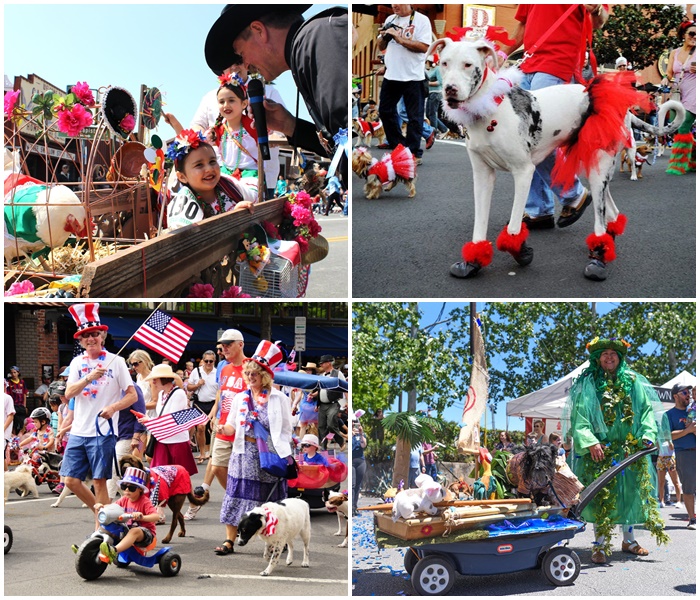 Pet Parade Festival