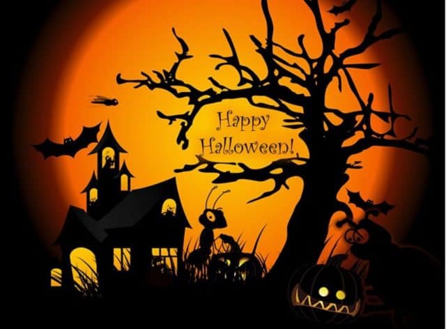 địa điểm vui chơi halloween