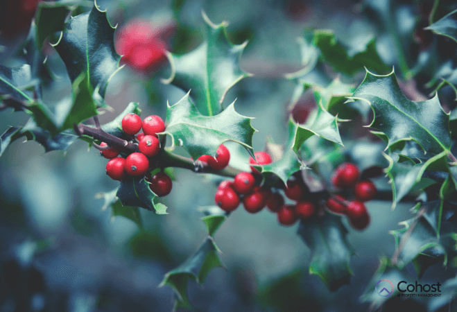Nụ hôn dưới cây tầm gửi là một biểu tượng lãng mạn của Giáng sinh