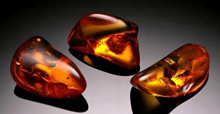 Đá Hổ Phách Amber  Minh Chứng Cho Dòng Chảy Thời Gian