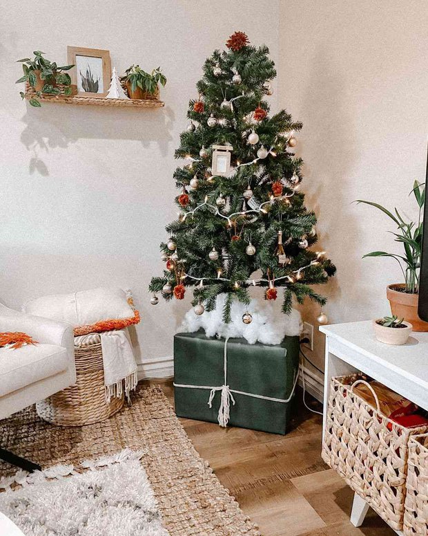 Những cây thông Noel mini dành riêng cho nhà chật - Ảnh 5.