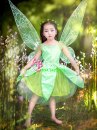 Công Chúa Tinker Bell Size 100