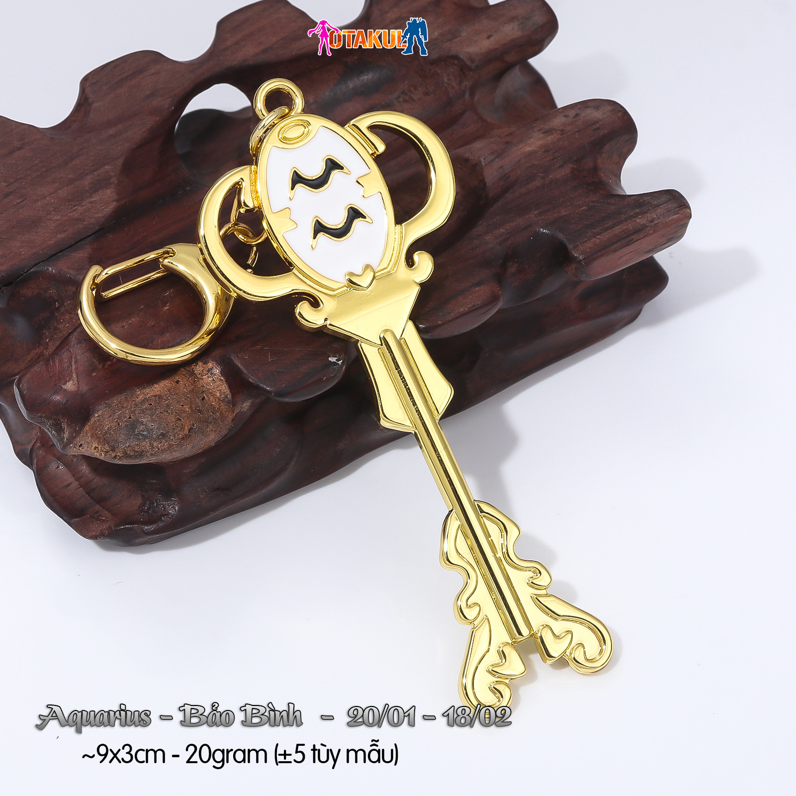 Bảo Bình Aquarius 3