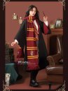 Khăn Choàng Cổ Thi Đấu Trường Hogwarts - Nhà Godric Gryffindor Dài 175Cm X 25Cm