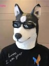 Mặt Nạ Con Chó Silicon - Mặt Nạ Husky